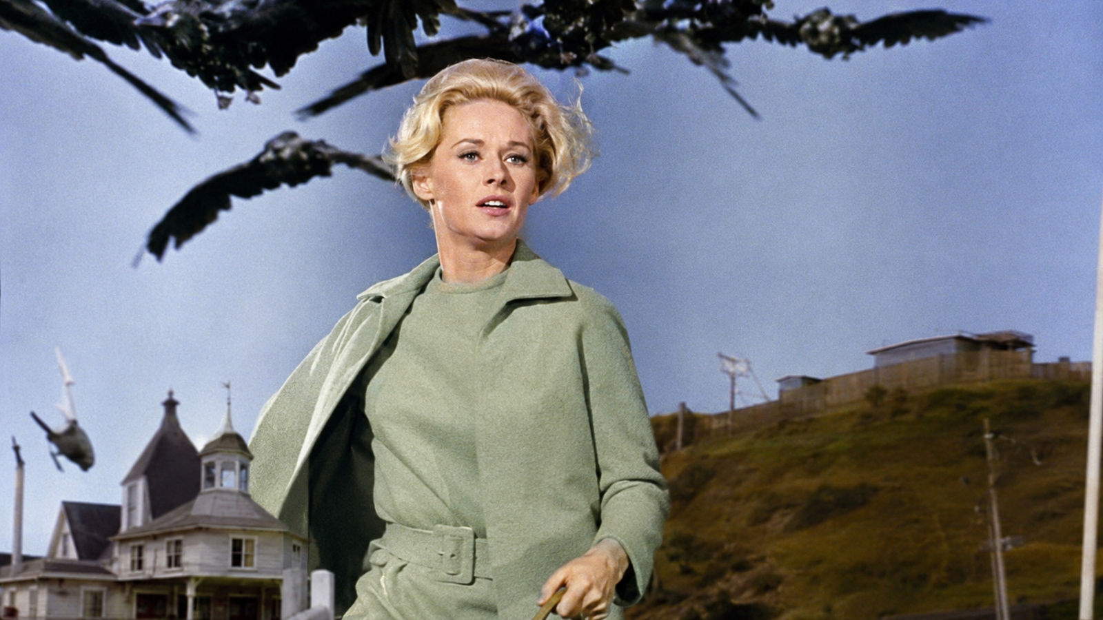 Tippi Hedren: The Untold Story Behind Hollywood's Most Fearless Icon