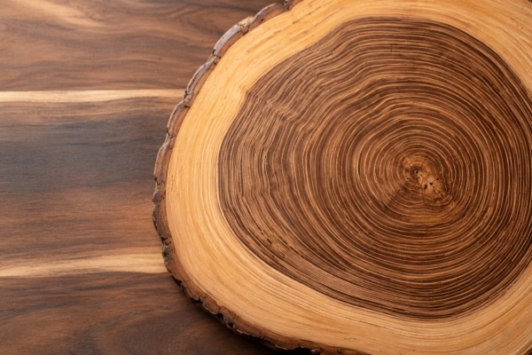 Acacia Wood Explained: Species, Durability, Cost, and Whether It's Worth Buying
