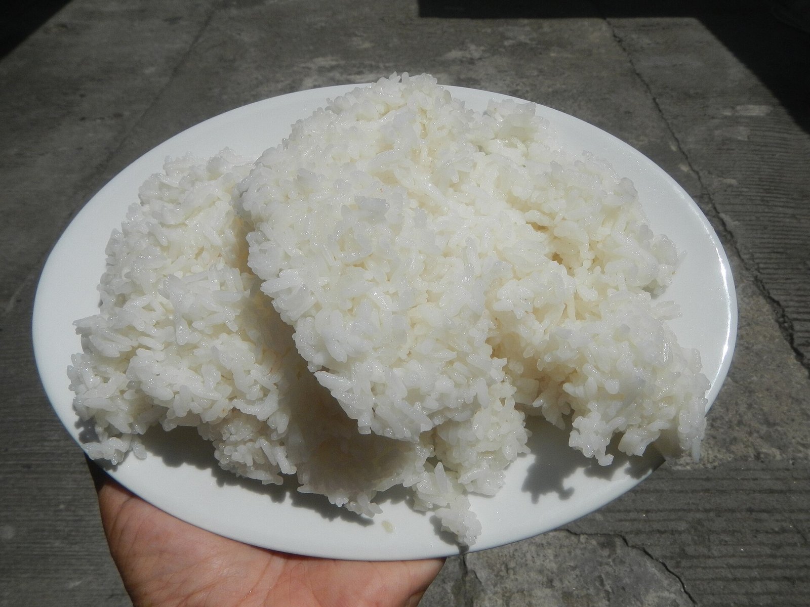 Hand holding a plate of freshly cooked white rice