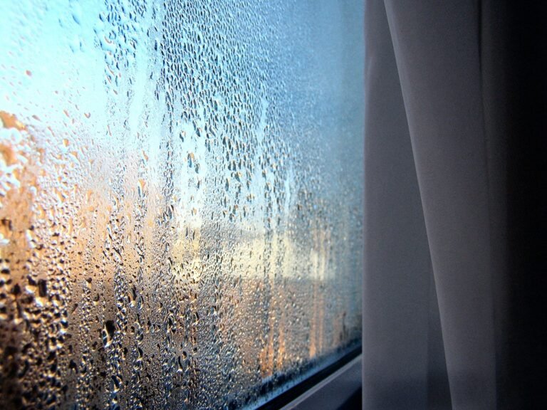 How to Stop Condensation on Windows Overnight: 7 UK Tips That Work Water droplets of condensation covering a window pane on a cold morning