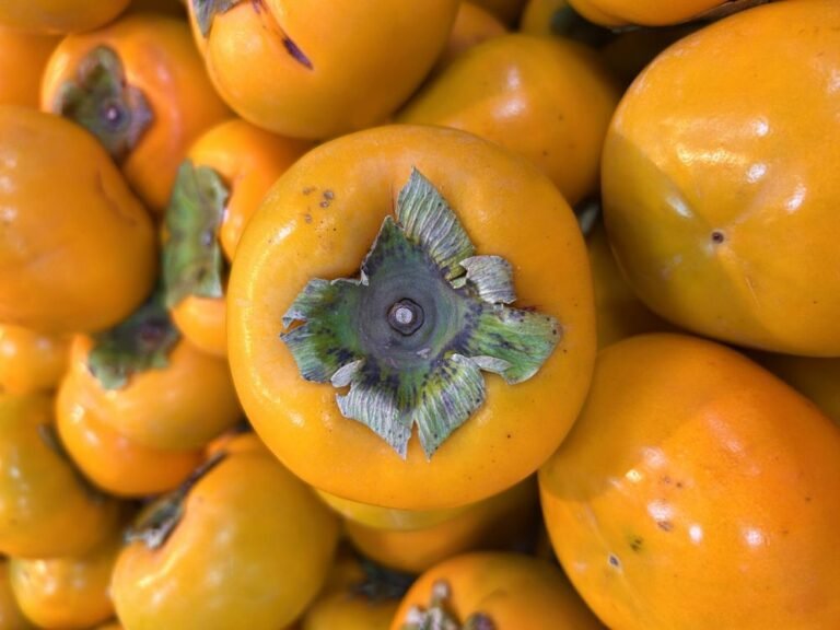 Closeup of fresh ripe persimmons with glossy orange skin