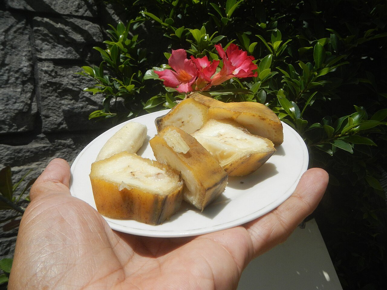 Sliced bananas on a plate ready for freezing