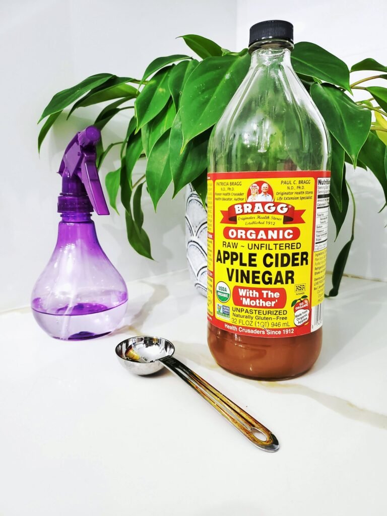 Vinegar bottle and spray bottle used for natural washing machine cleaning