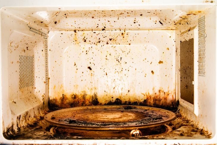 Burnt stained microwave interior needing a deep clean before steam treatment